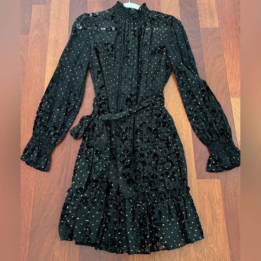 Alex Marie Rosalia long split sleeve smocked mock neck tie waist dress